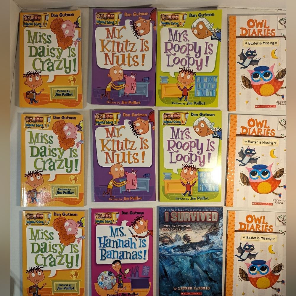 12 Assorted Chapter Paperback Books, New Condition, 1st-4th Grade Reading Level